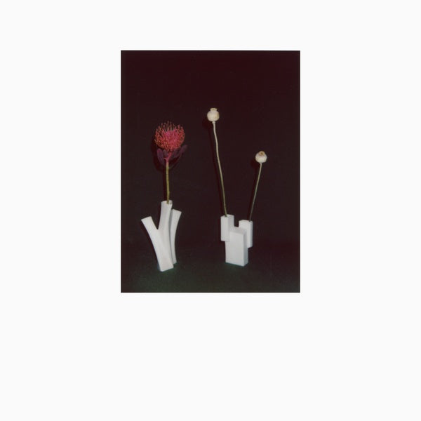 FELICIA ATKINSON - The Flower And The Vessel [Vinyl]