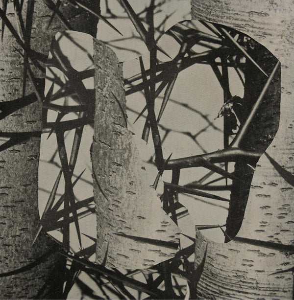 FEMME - Chroma [Vinyl] (ONLINE ORDER ONLY)