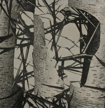 FEMME - Chroma [Vinyl] (ONLINE ORDER ONLY)