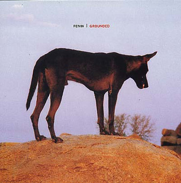 FENIN - Grounded [Vinyl] (ONLINE ORDER ONLY)