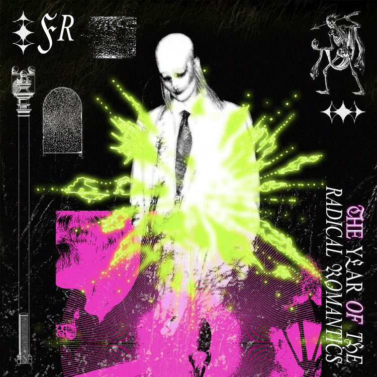 The Year Of The Radical Romantics (Limited Edition Numbered 2LP) [Indie Exclusive] [Vinyl] (ONLINE ORDER ONLY)