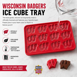 Wisconsin Badgers Ice Cube Tray