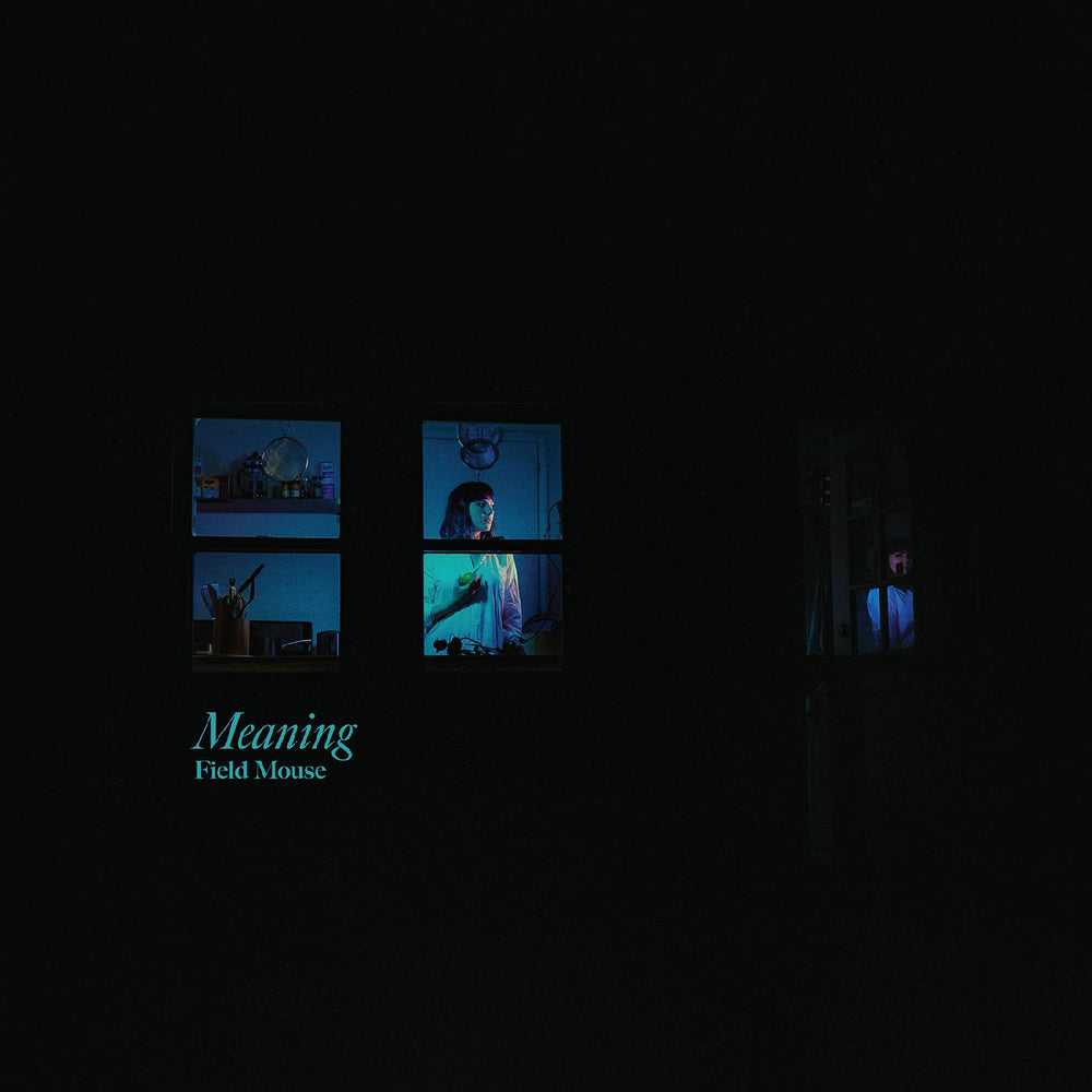Field Mouse - Meaning [Vinyl] (ONLINE ORDER ONLY)