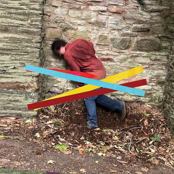 Domestic Economy [Vinyl] (ONLINE ORDER ONLY)