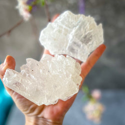 Fishtail Selenite Raw Specimens, Ethically Sourced Water Selenite (ONLINE ORDER ONLY)