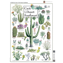 Cacti of the Desert Southwest 1000 Piece Jigsaw Puzzle