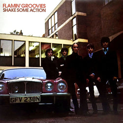 Flamin' Groovies - Shake Some Action (Burnt Orange Vinyl) [Vinyl]