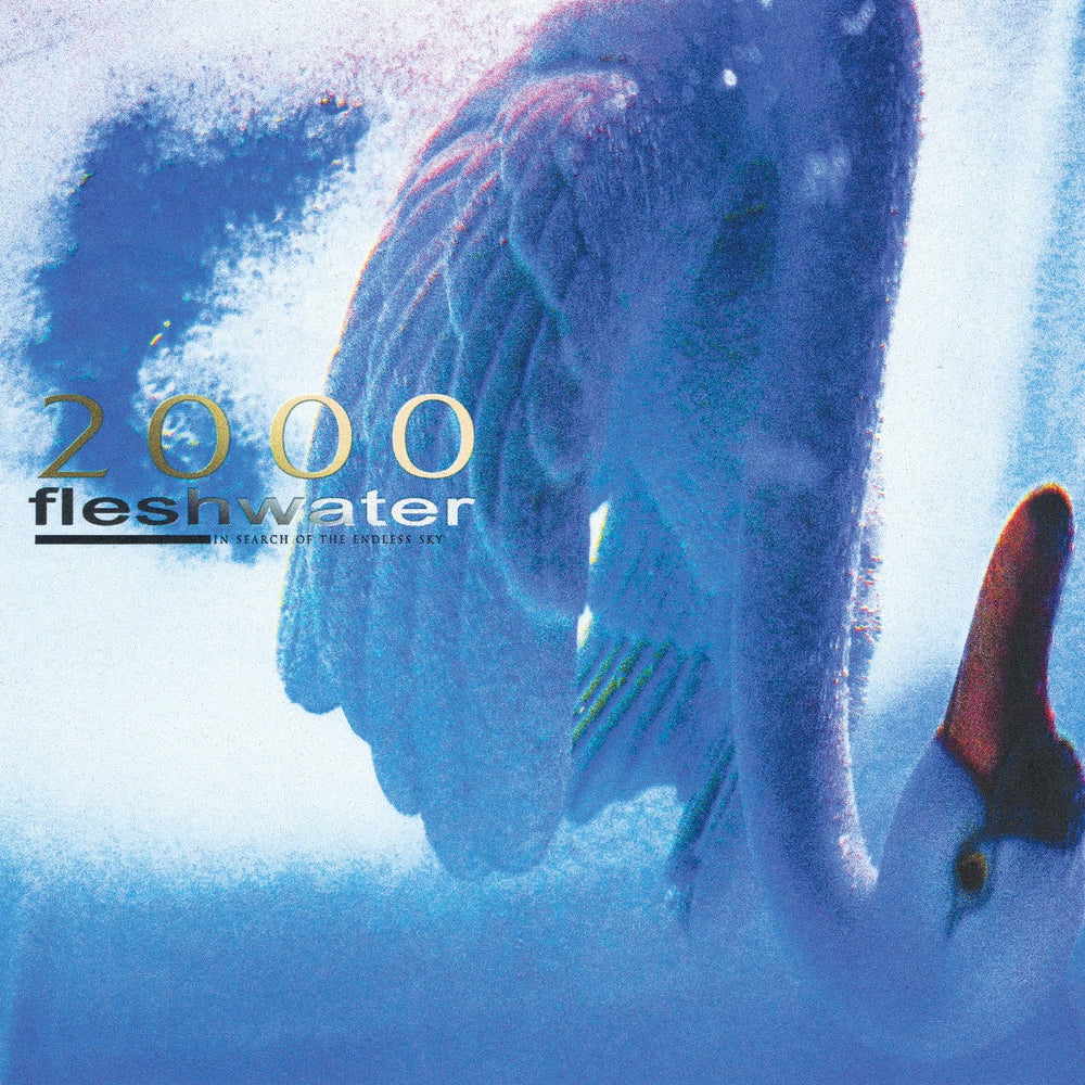 2000: In Search Of The Endless Sky (Metallic Blue Vinyl) [Vinyl] (ONLINE ORDER ONLY)