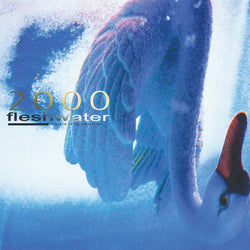 2000: In Search Of The Endless Sky (Metallic Blue Vinyl) [Vinyl] (ONLINE ORDER ONLY)