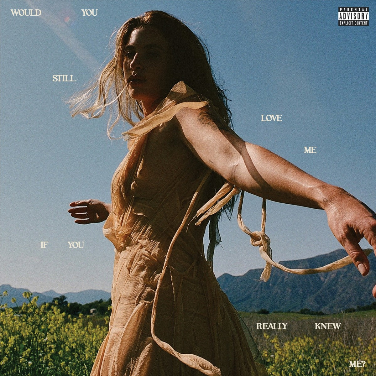 Would You Still Love Me If You Really Knew Me? (Indie Exclusive) [Limoncello Vinyl] [Vinyl] (ONLINE ORDER ONLY)