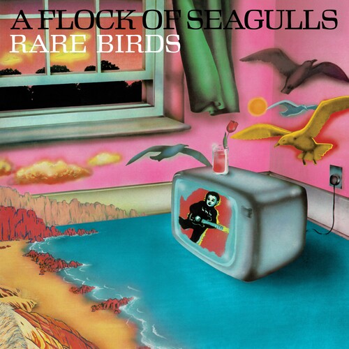 Rare Birds - a Flock of Seagulls' B-Sides (RSD 4.22.23) [Vinyl]