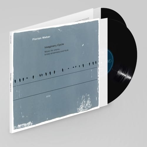 Imaginary Cycle [2 LP] [Vinyl]