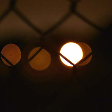 Vibrant Forms [Vinyl] (ONLINE ORDER ONLY)