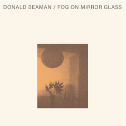Fog On Mirror Glass [Vinyl] (ONLINE ORDER ONLY)