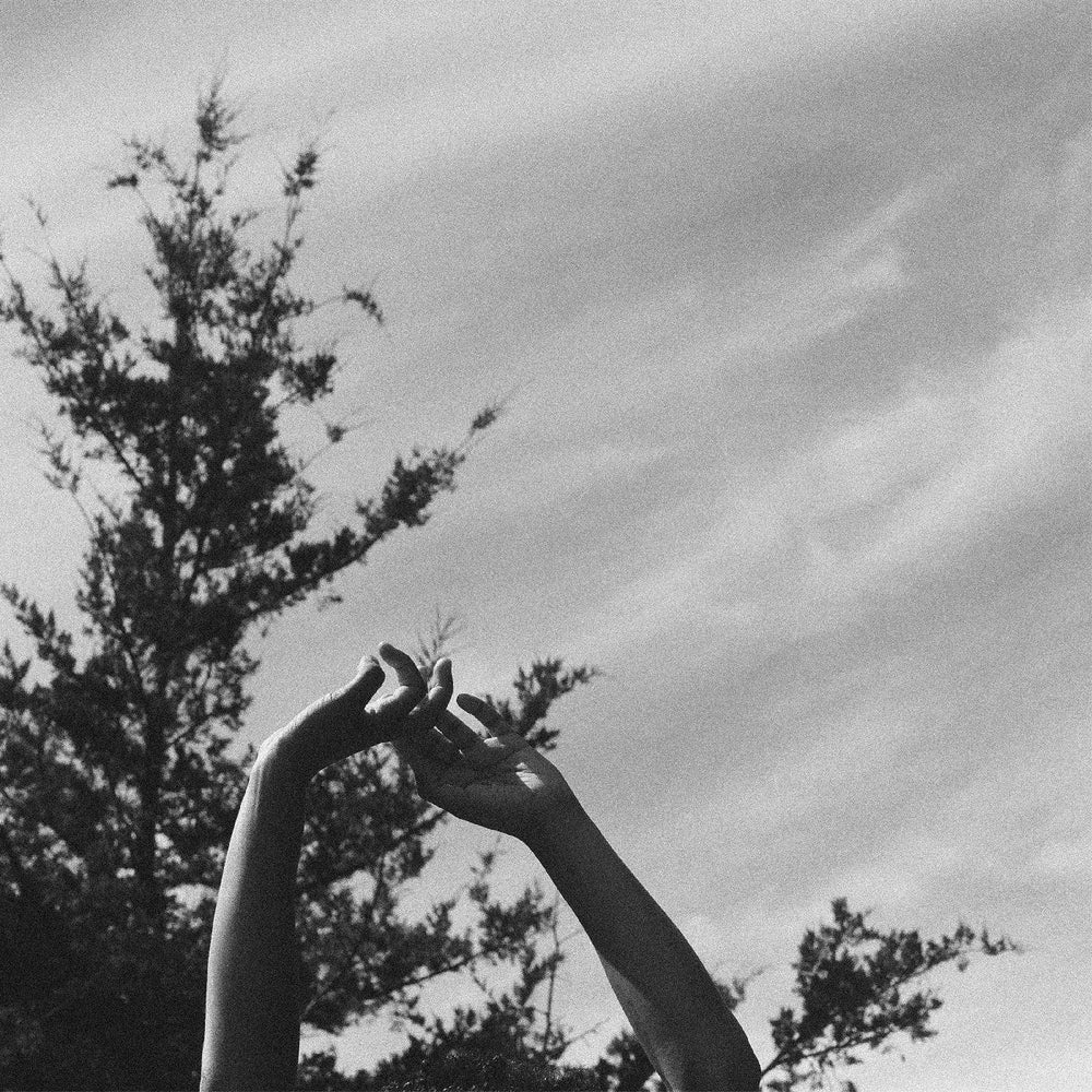 Folly & The Hunter - Remains [Vinyl] (ONLINE ORDER ONLY)