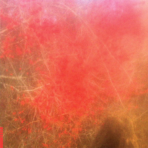 Foom & Foam [Vinyl] (ONLINE ORDER ONLY)