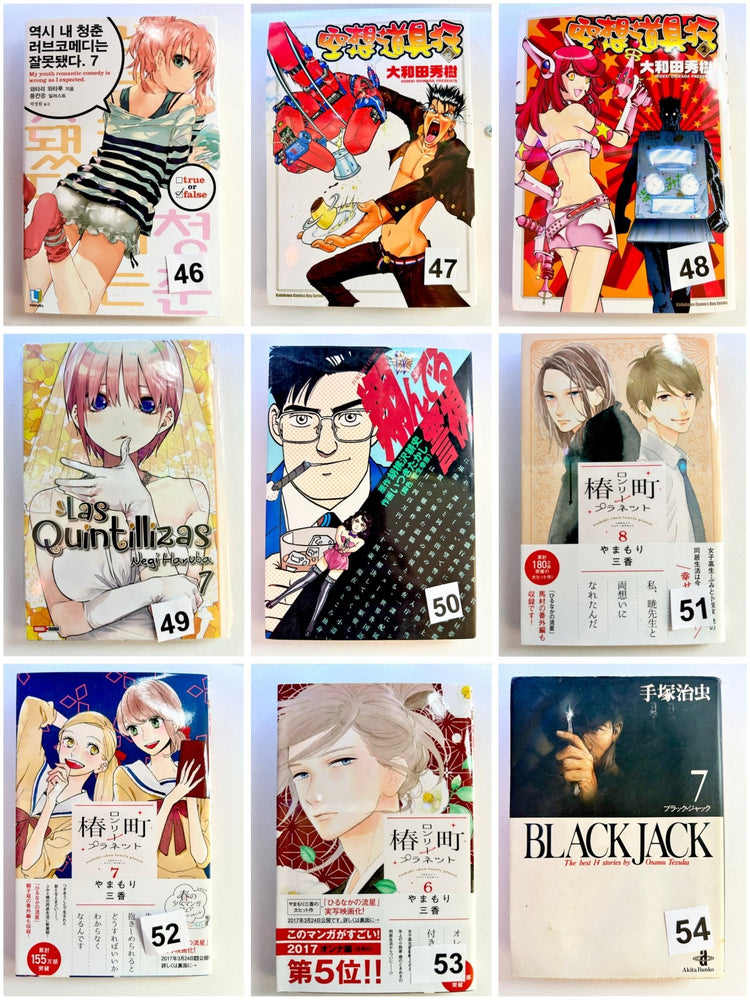 Foreign Language Manga and Light Novels - Part 2/2 (Online Order Only)