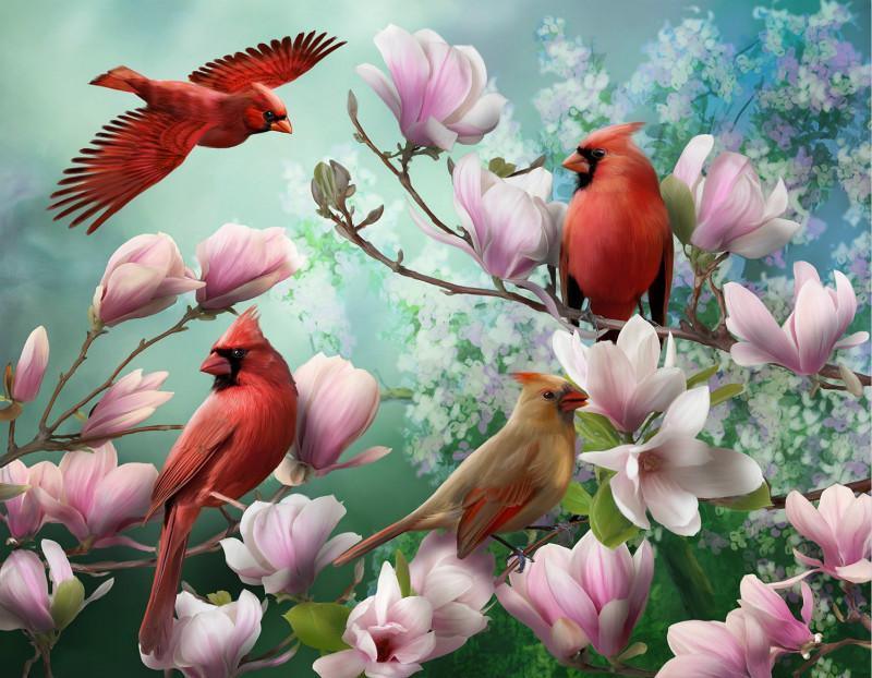 Four Beautiful Birds (ONLINE ORDER ONLY)