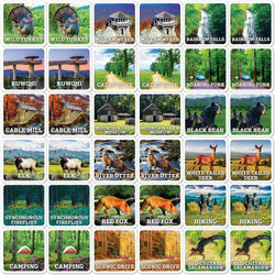 Jr. Ranger - Great Smoky Mountains Matching Game (ONLINE ORDER ONLY)