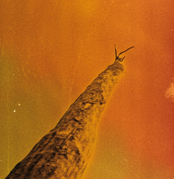 FREDERIC D. OBERLAND/GREGORY DARGENT/TONY ELIEH/WA - SIHR [Vinyl] (ONLINE ORDER ONLY)