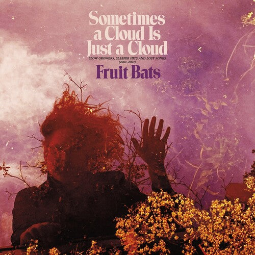 Sometimes a Cloud Is Just a Cloud: Slow Growers, Sleeper Hits and Lost Songs (2001–2021) (Colored Vinyl, Pink, Violet, Gatefold LP Jacket, Digital Download Card) (2 Lp's) [Vinyl]