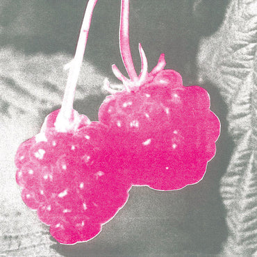 F.S.BLUMM - Welcome [Vinyl] (ONLINE ORDER ONLY)