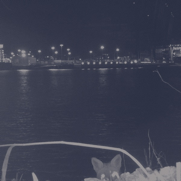 FUCHS - Fuchs [Vinyl] (ONLINE ORDER ONLY)