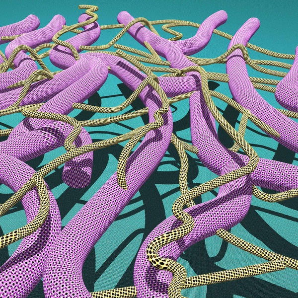 GAF Y LA ESTRELLA DE LA MUERTE - Pyramids [Vinyl] (ONLINE ORDER ONLY)