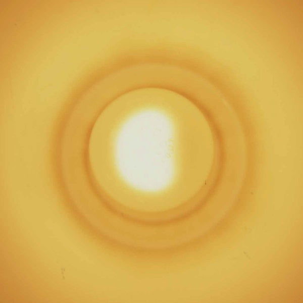 Monstersol [Vinyl]