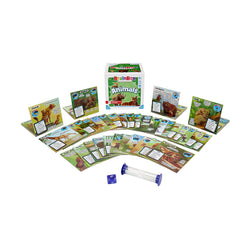 BrainBox: Animals (ONLINE ORDER ONLY)