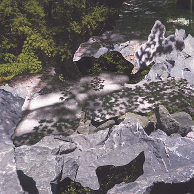 Filtered Water [Vinyl] (ONLINE ORDER ONLY)