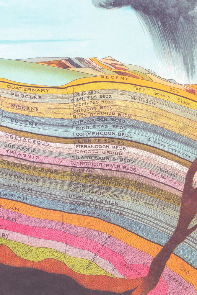 Geological Chart (ONLINE ORDER ONLY)