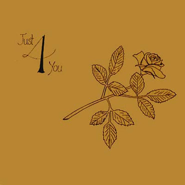 Just 4 You [CD]