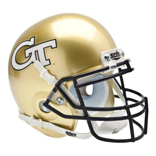 Georgia Tech Yellow Jackets College Football Collectible Mini Helmet - Picture Inside - FANZ Collectibles (Online Order Only) (ONLINE ORDER ONLY)