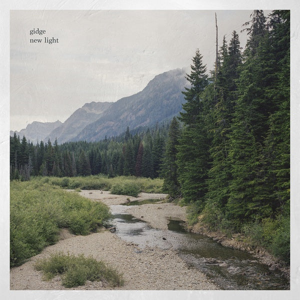 New Light [Vinyl]