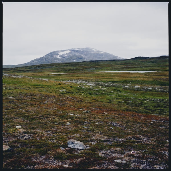 Tundra [Vinyl]