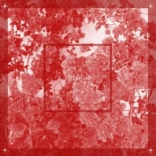 Girl In Red - Beginnings [Vinyl] (ONLINE ORDER ONLY)