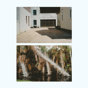 The Vestige [Lp] [Vinyl] (ONLINE ORDER ONLY)