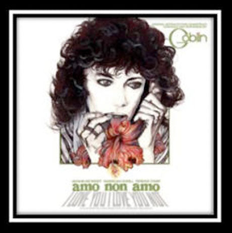 Amo Non Amo [Vinyl]