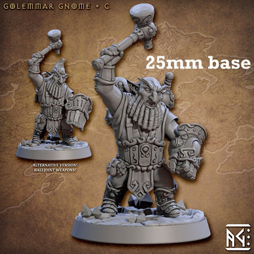 Golemmar Gnome: Sculpt C (Male Gnome Barbarian) (ONLINE ORDER ONLY)