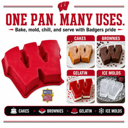 Wisconsin Badgers Cake Pan