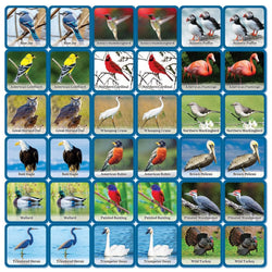 Audubon - Bird Matching Game (ONLINE ORDER ONLY)