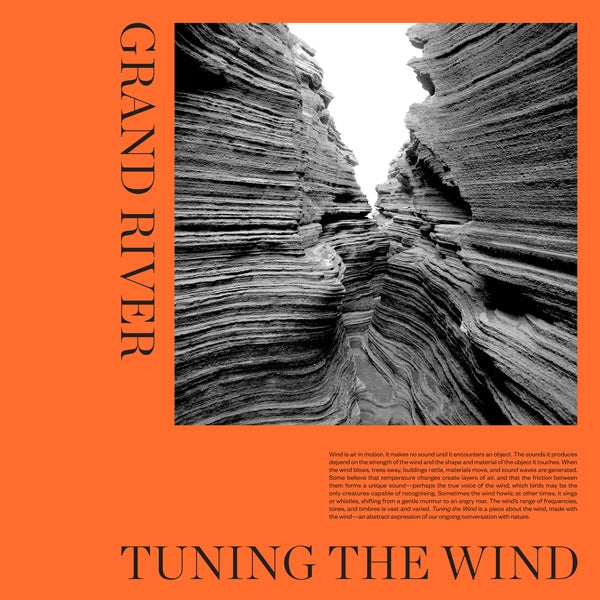 Tuning The Wind [Vinyl]
