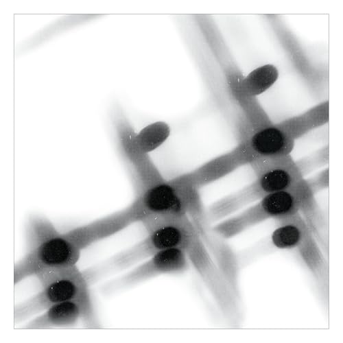 40:13.5 [Vinyl]