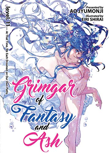 Grimgar of Fantasy and Ash Vol 11 Light Novel (Online Order Only)