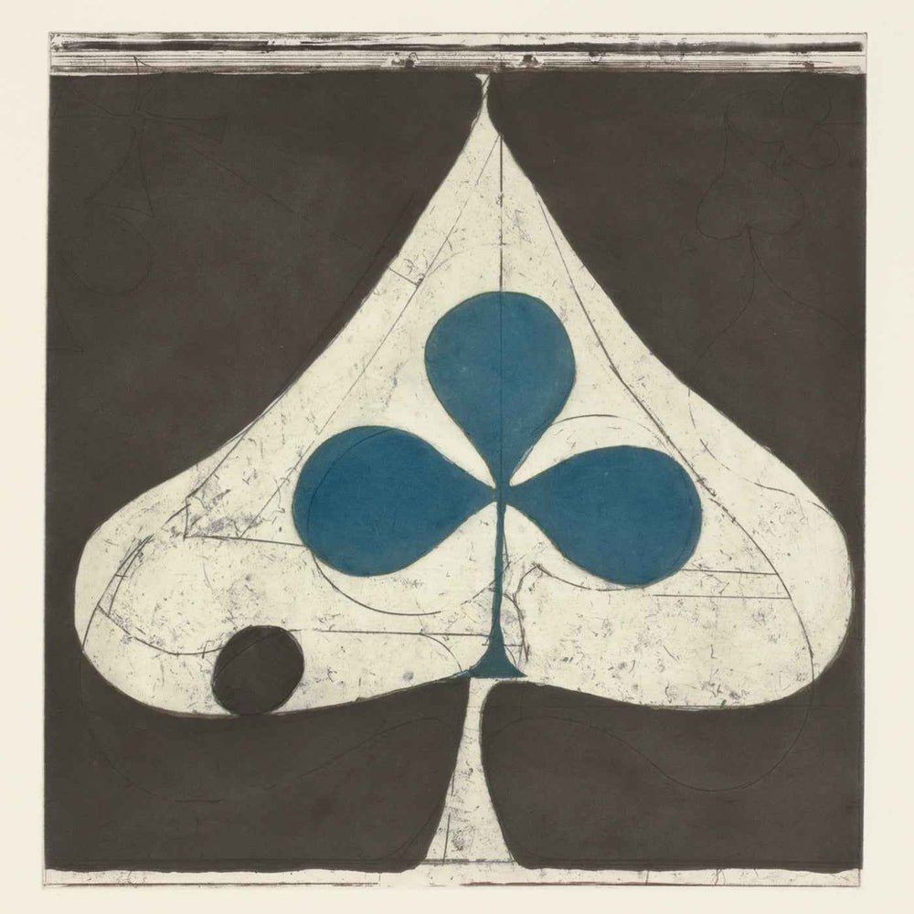 Grizzly Bear - Shields [Vinyl]