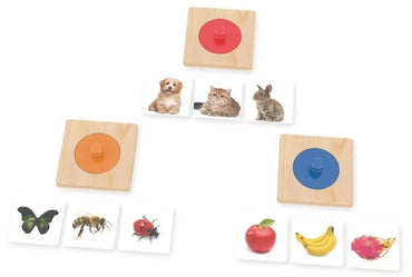 Guessing Knob Puzzle (ONLINE ORDER ONLY)