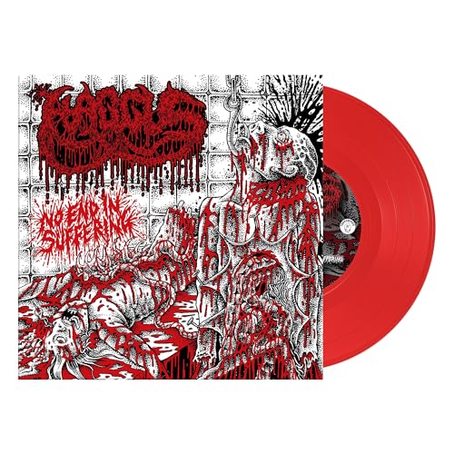 No End In Suffering [Vinyl]