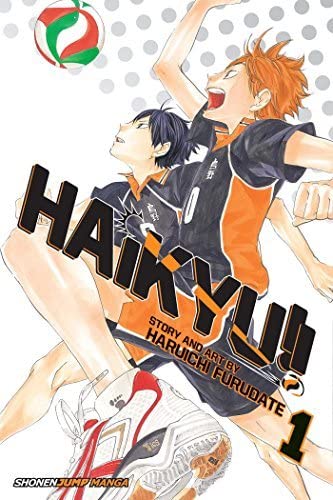 Haikyu!! Vol 1 (Online Order Only)
