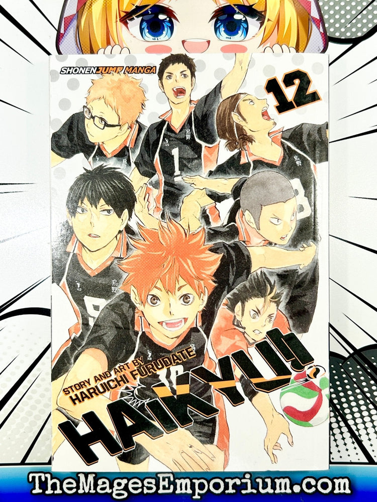 Haikyu!! Vol 12 (Online Order Only)